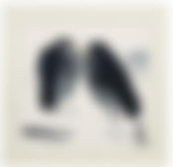 Deux Oiseaux (preview)