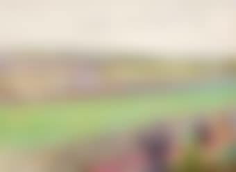 Derby Day (preview)