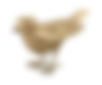 Oiseau de Jardin III A (preview)