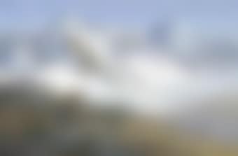 Red deer, Cullins, Scotland (preview)