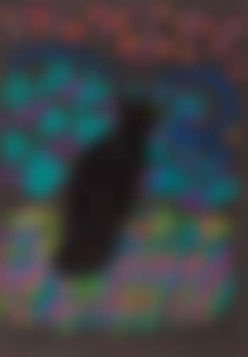 Black cat (preview)