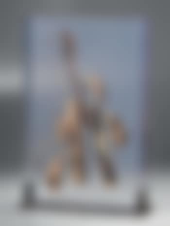Senza titolo (preview)