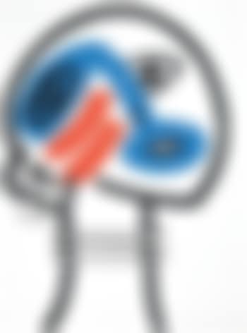 The story of red and blue (preview)
