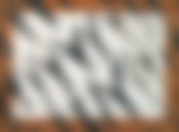 Segni grigi (preview)