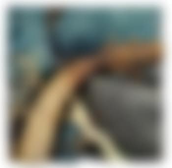 Palma tra gli scogli (preview)