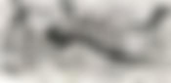 Plum blossom in the snow (preview)
