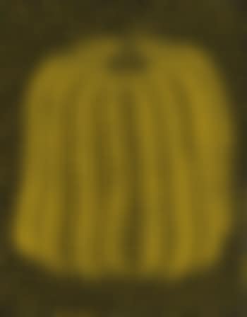 Pumpkin (preview)