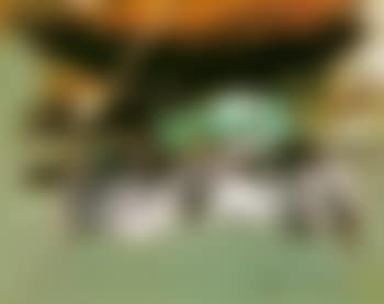 Autumn maple (preview)