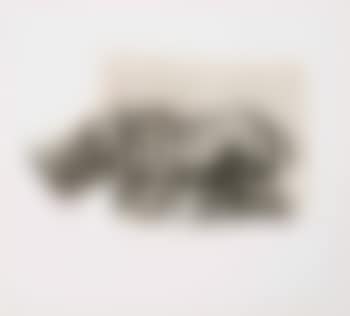 Rhino (head down) (preview)