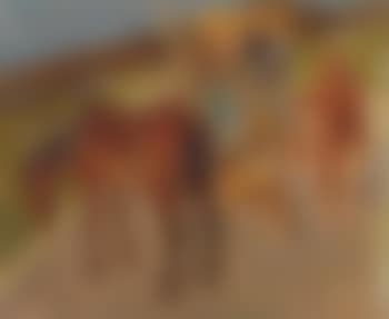 Vendanges (preview)