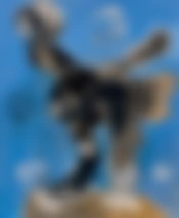 Jeune chouette (preview)