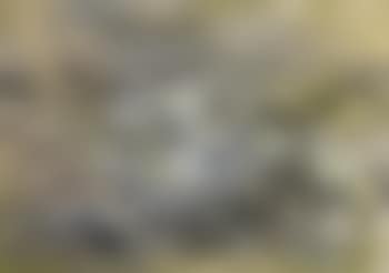 Composition (preview)