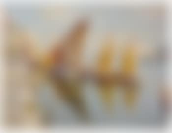 Venezianische Lagune (preview)