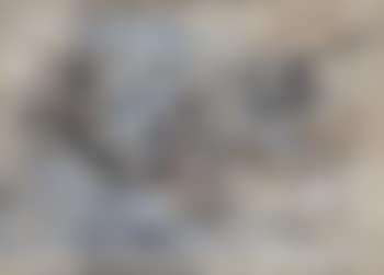 Composition (preview)