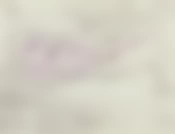 Ohne Titel (preview)