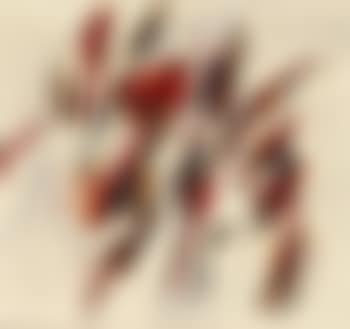 Nr. 18/63 (preview)