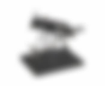 Insecte africain accroupi (preview)