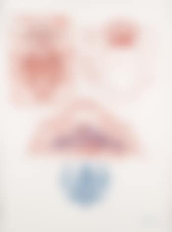 Cloaca - study 88 (preview)