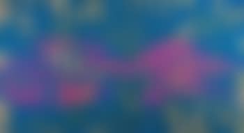 La colorata notte (preview)