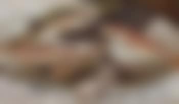 Sogliola e triglie nel piatto (preview)