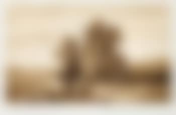 Weite Landschaft mit Bäumen (preview)