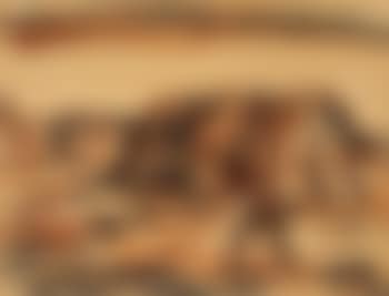 Landschaft mit Figur (preview)