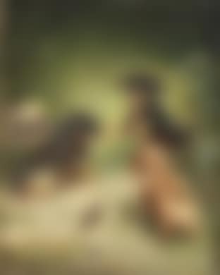 Dackelwelpen beim Spiel (preview)