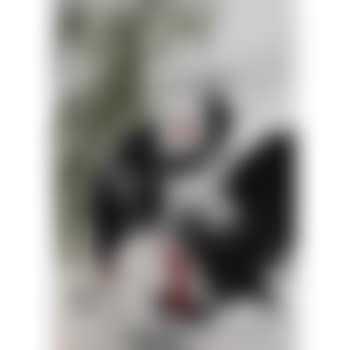 Three lucky chicken (preview)