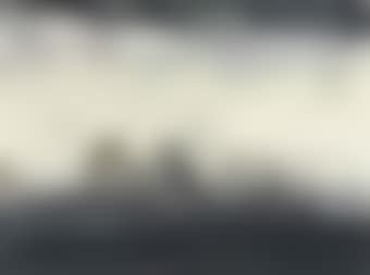 Misty morning (preview)