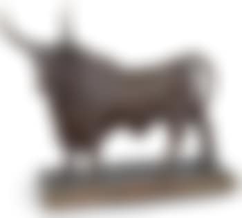 Taureau romain (preview)
