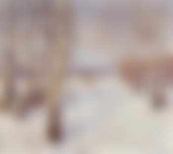Birken im Schnee (preview)