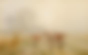 Meadow landscape with cattle and drover (preview)