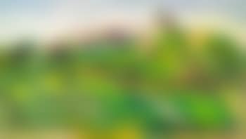 Ansicht von Horn am Untersee (preview)