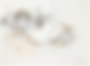 Nudo sdraiato (preview)