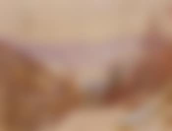 Late Autumn (preview)