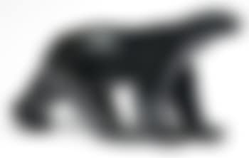 Ours brun (preview)