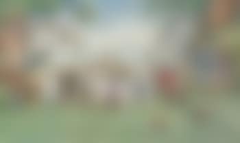 Animal picnic (preview)