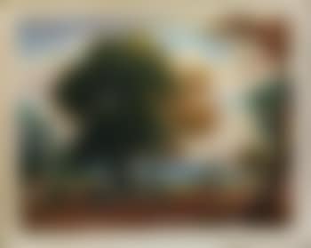 Landschaft mit pflügendem Bauer und Sämann (preview)