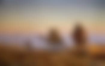 Camel caravan on the road to the Dead Sea (preview)