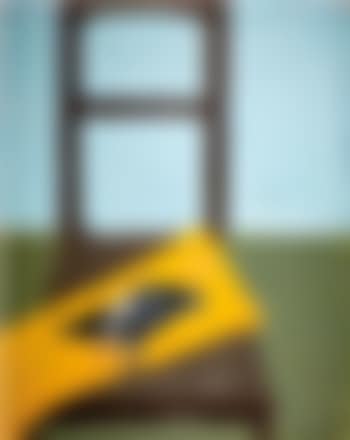 Chair with dead dove (preview)