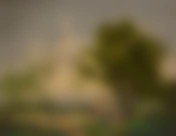 The Harvest Field (preview)
