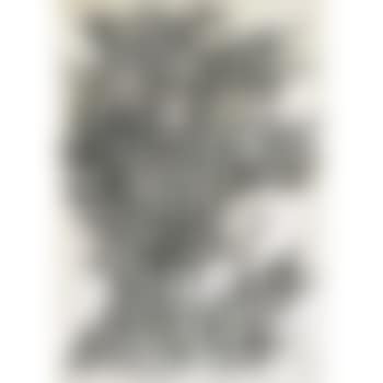 Woman with elaborte headdress (preview)