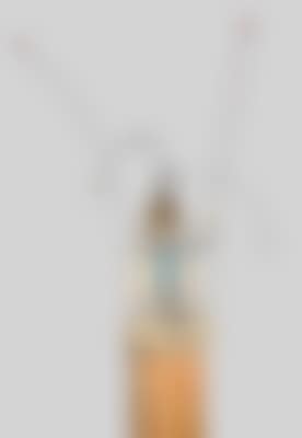 Der Pope (preview)