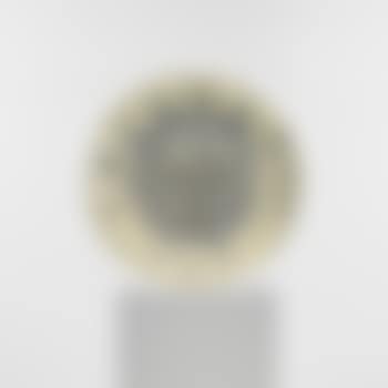 Face with grid (preview)