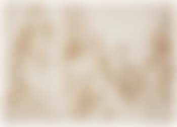 The Adoration Of The Magi (preview)