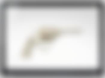 Revolver (preview)