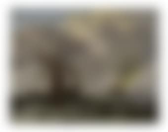 A waterschip, a boeier and a galjoot in a stiff breeze, a cargo ship beyond (preview)