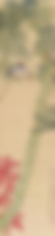 Birds and Indus (preview)