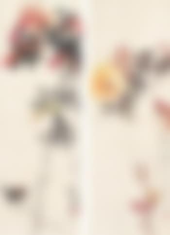 Birds. China rose (preview)