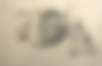 Kuhstudien (preview)